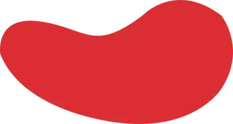 LOL英雄联盟投注-官方电竞竞猜平台